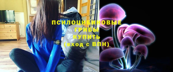 спиды Армянск