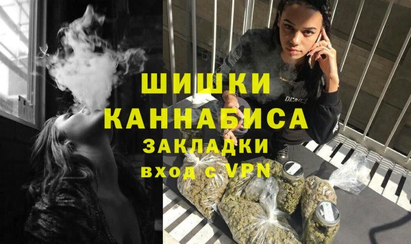 хмурый Магас