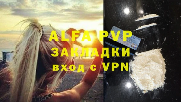 хмурый Магас