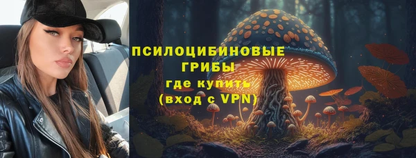 спиды Армянск