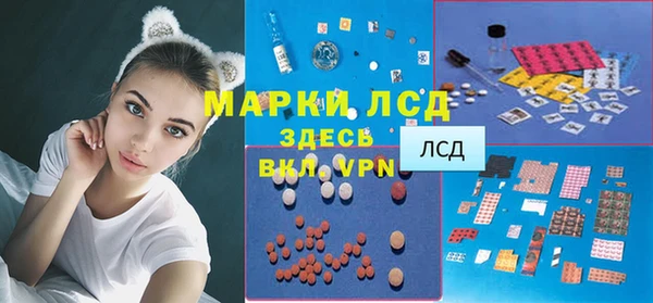 хмурый Магас